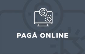 pago-online-05